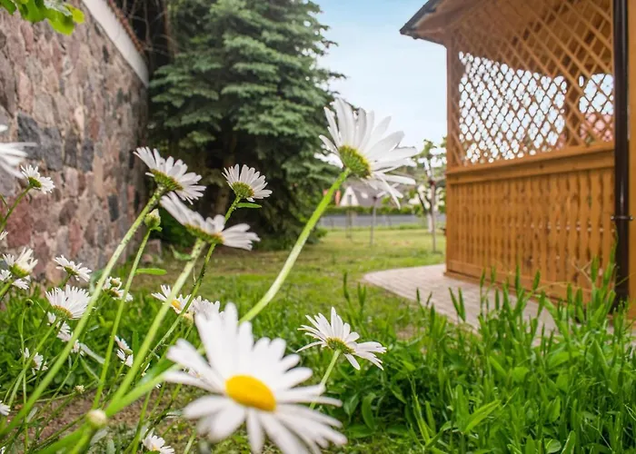 شقة Lovely In With Wifi *